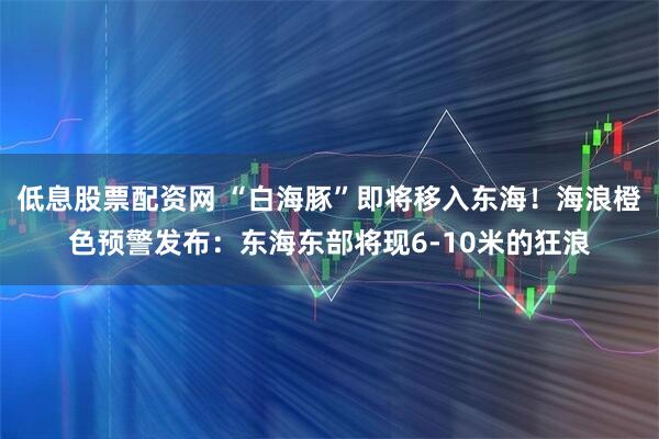 低息股票配资网 “白海豚”即将移入东海!海浪橙色预警发布:东海东部将现6-10米的狂浪