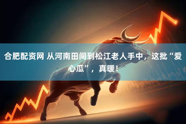 合肥配资网 从河南田间到松江老人手中，这批“爱心瓜”，真暖！