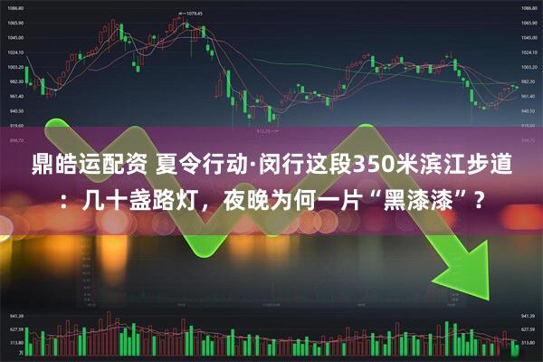鼎皓运配资 夏令行动·闵行这段350米滨江步道：几十盏路灯，夜晚为何一片“黑漆漆”？
